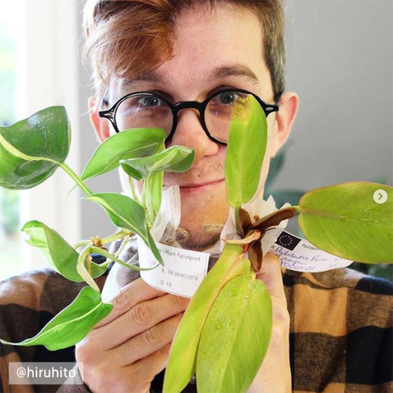 @hiruhito