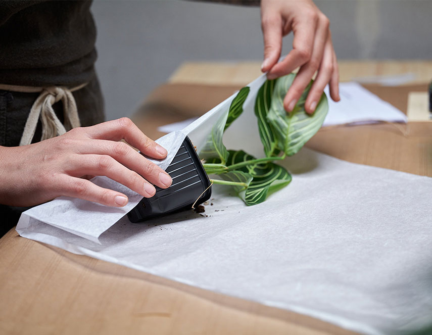 Livraison repensée éco-responsable