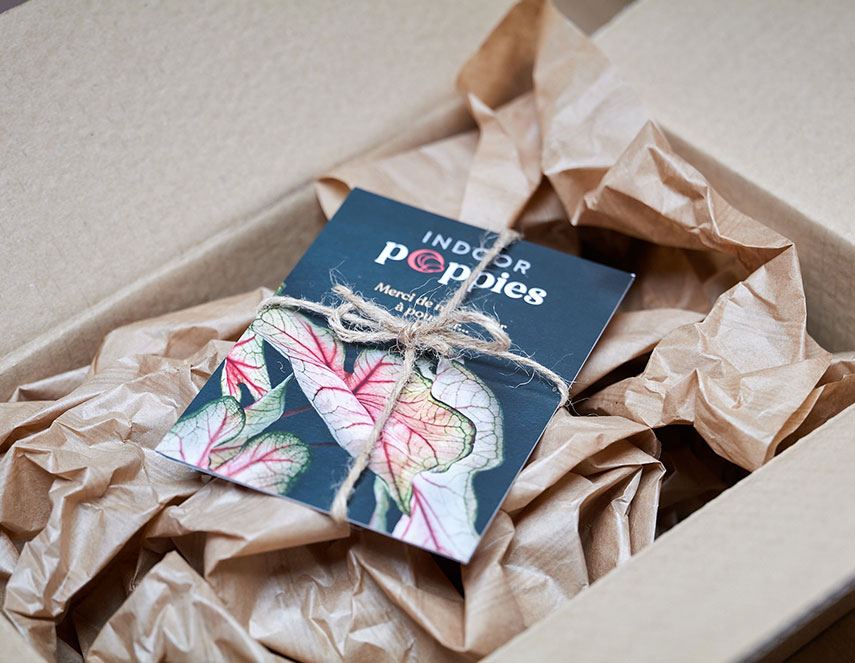 Conseils personnalisés