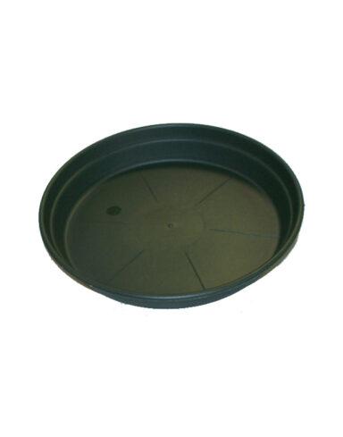 soucoupe en plastique vert sapin