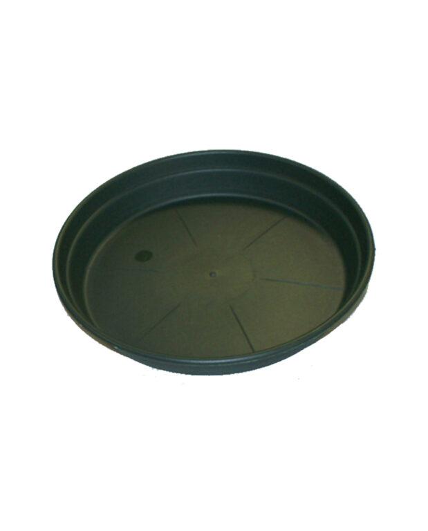 soucoupe en plastique vert sapin