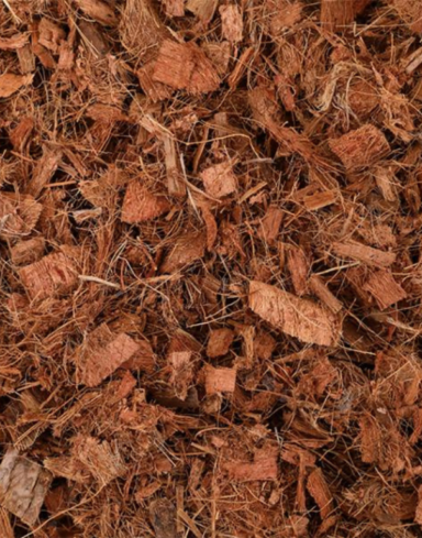 Chips de coco alternative