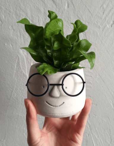 Cache-pot visage à lunettes