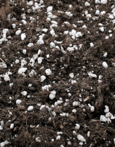 Mix terreau et perlite alternative