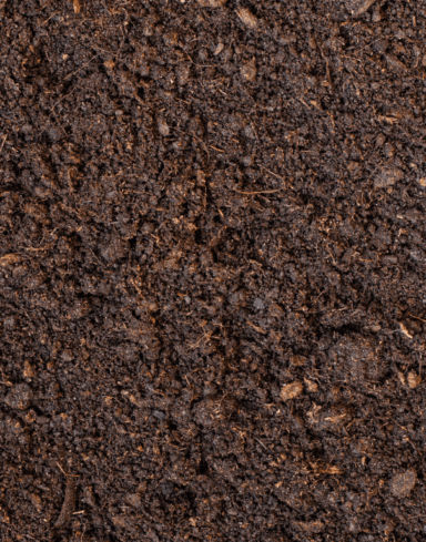 Vermicompost – Lombricompost alternative