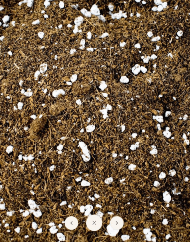 Mix Fougère alternative