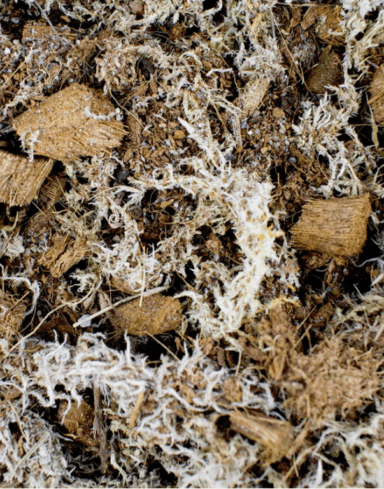 Mix Terrarium alternative